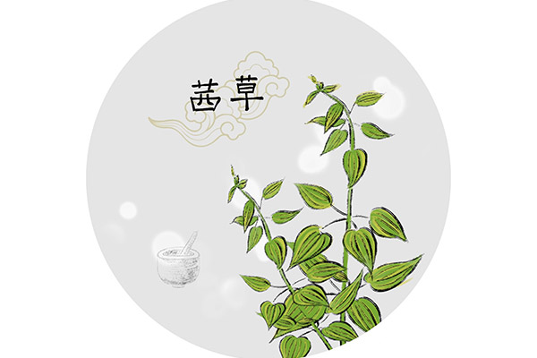 茜草的作用与功效,中药养生保健,中药材价格,中药材批发,中药饮片